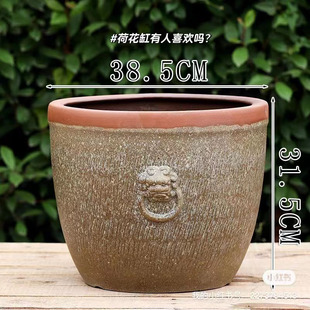 荷花睡莲古法养鱼水培粗陶复古水缸