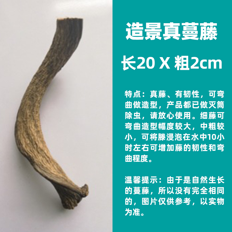 爬宠真树藤蔓藤造景装饰植物雨林缸玻璃缸树蛙蛇乌龟饲养盒造景木