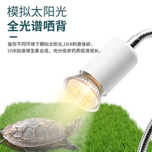 乌龟晒背灯太阳灯龟灯三合一爬宠uva专用uvb宠物加热加温保温灯泡