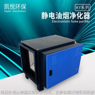 快餐店油烟净化器 油炸小吃 川菜 湘菜馆油烟净化器