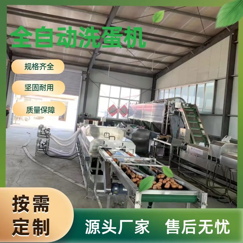 单排式鸡蛋清洗机蛋类加工清洗流水线机械设备全自动大型洗蛋机,搬运/仓储/物流设备,叉车/搬运车,淘宝优惠券,粉丝福利购,淘宝优惠卷