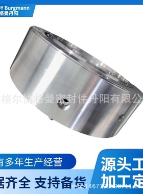 能源电厂汽前置泵HZB330-790A泵用机械密封博格曼机械密封件现货