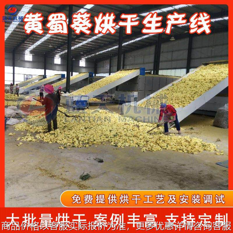 大型工业黄蜀葵烘干生产线 秋葵黄芙蓉烘干设备 网带黄蜀葵烘干机