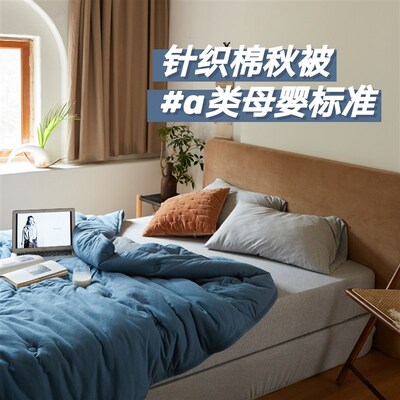 学生秋被针织棉一体被新雪绒聚酯纤维春秋被双人被无敏柔软被子