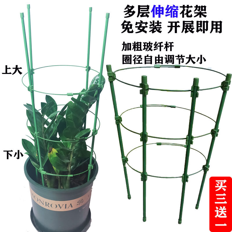 铁线莲紫藤球兰三角梅爬藤支架室内客厅阳台园艺固定绿萝长藤花架