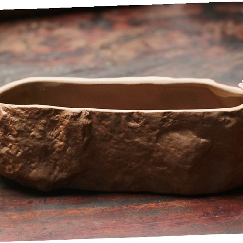 梅花款陶瓷花盆 水培土培 陶瓷石头花盆 室内盆栽花卉盆栽铜钱草