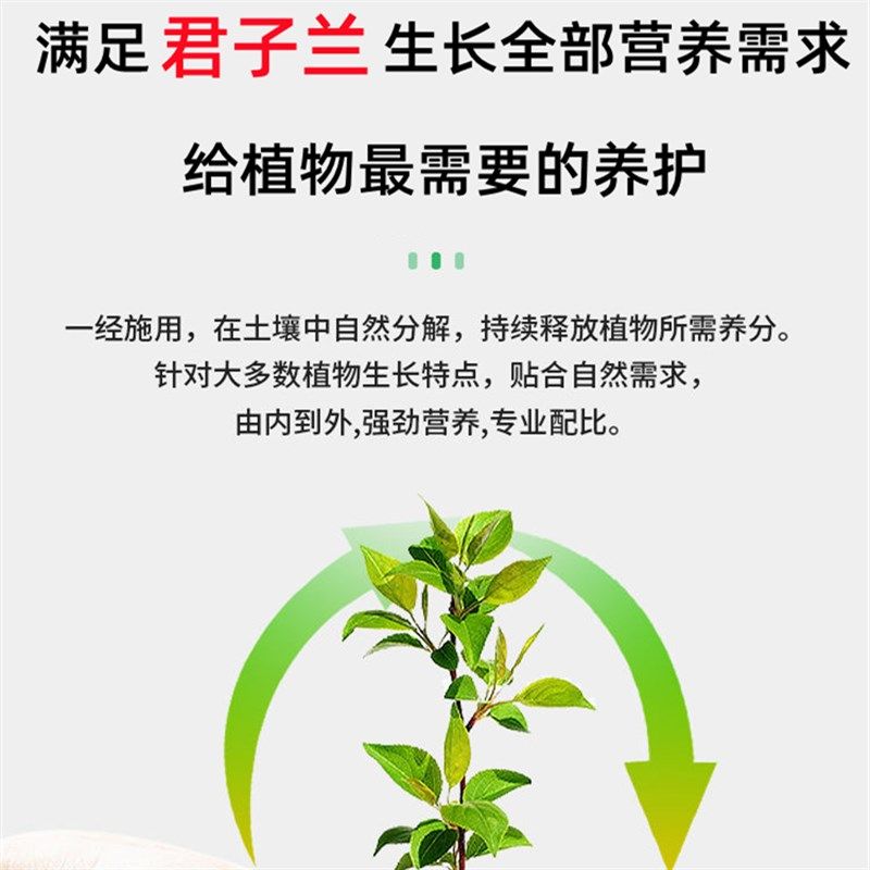 君子兰专用肥有机复混肥兰花颗粒复合肥料兰科花卉盆栽促开花催花,鲜花速递/花卉仿真/绿植园艺,家庭园艺肥料,淘宝优惠券,粉丝福利购,淘宝优惠卷