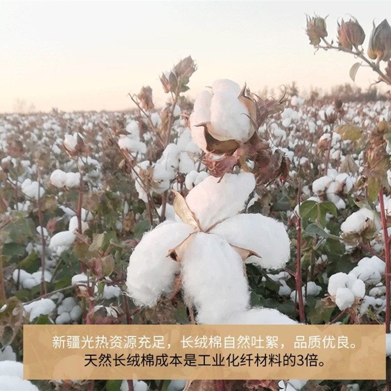 新疆长绒棉花被加厚冬被纯棉花被芯棉絮全棉冬季棉被新生4-15斤,床上用品,棉花被,淘宝优惠券,粉丝福利购,淘宝优惠卷
