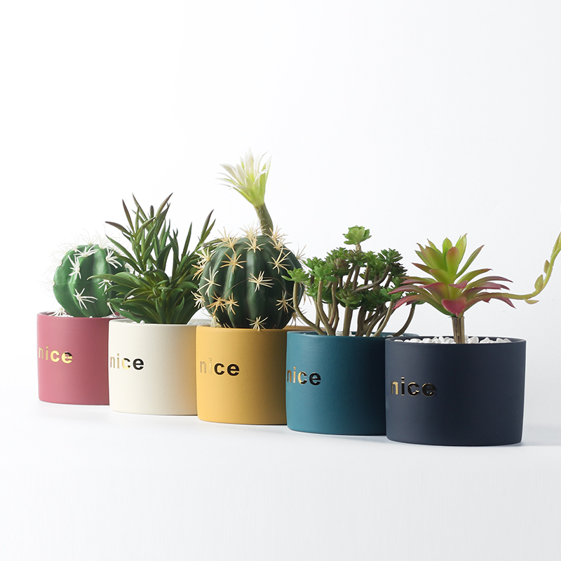 陶瓷无孔花盆小清新花盆北欧简约风格多肉植物花盆肉肉小花盆