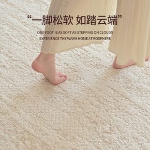 硅藻丝防水防污免洗可擦免打理轻奢高级沙发地垫 地毯客厅2024新款