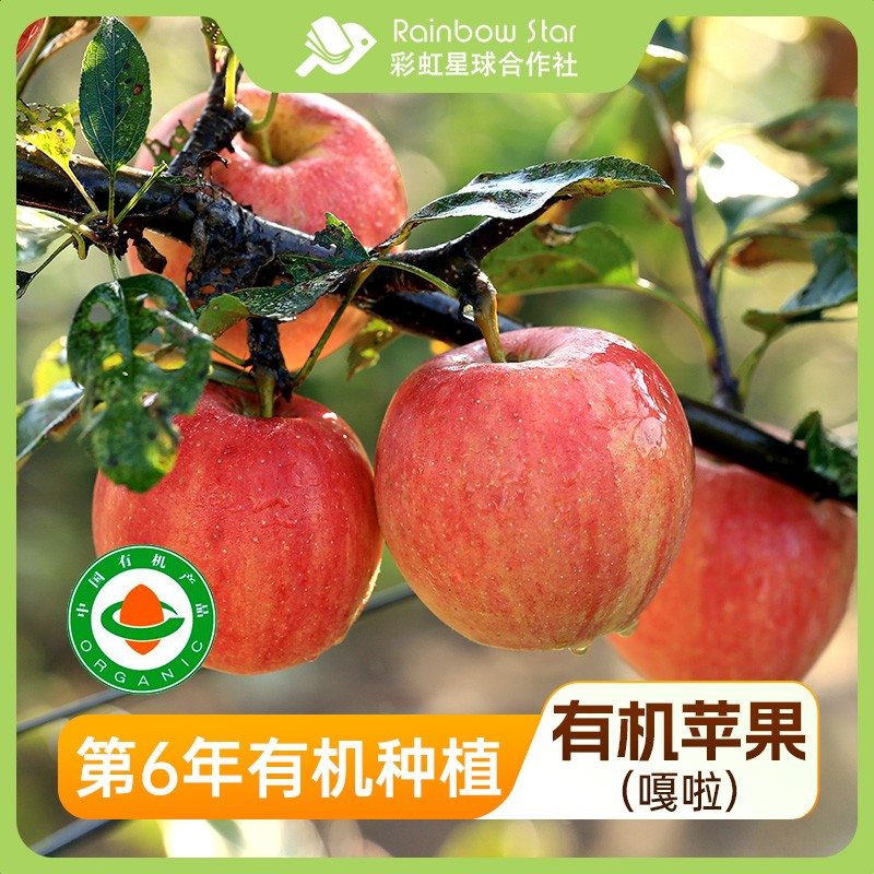 彩虹星球有机|有机嘎啦苹果酸甜脆嫩新鲜时令水果产地直发