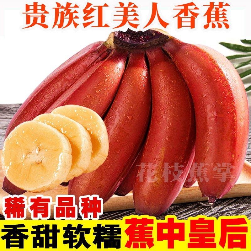 珍稀水果广西红美人香蕉美人蕉5斤/3斤/2斤现摘现发新鲜水果