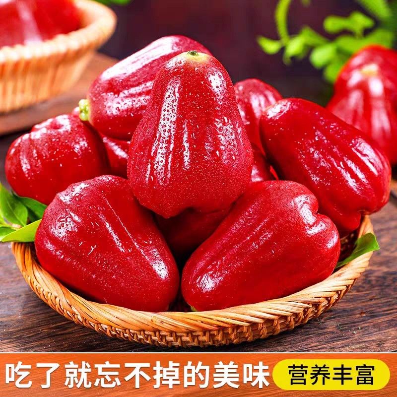 顺丰/京东黑金刚莲雾清甜脆爽多汁精品新鲜应季仙女果低糖水果