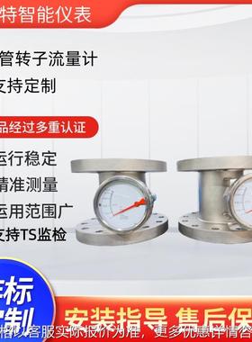 BTLZ系列金属转子流量计金属管浮子流量计法兰连接DN150口径