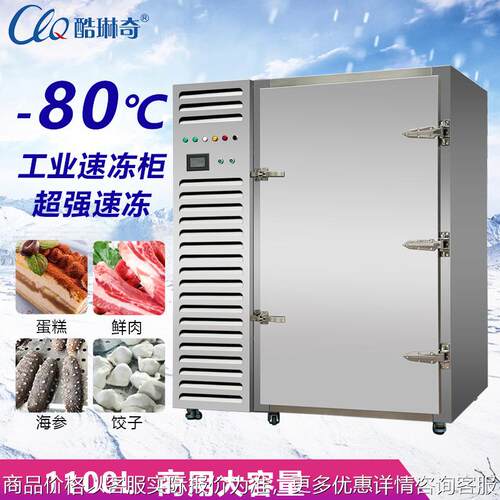 猫山王榴莲水果大型速冻柜低温快速低温速冻机大型零下80度摄氏度