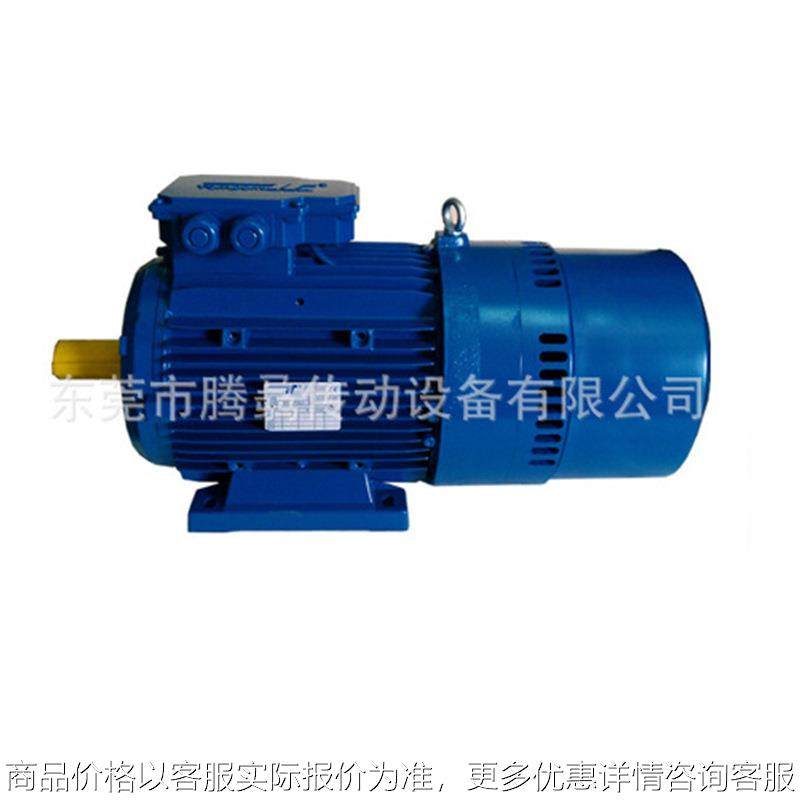 意大利泰普利电动机往复运转刹车马达电镀线用电机,五金/工具,电动机,淘宝优惠券,粉丝福利购,淘宝优惠卷