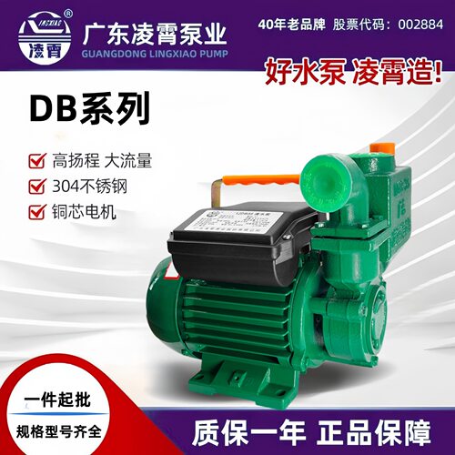 广东凌霄1ZDB自吸抽水增压泵小型家用自来水清水循环泵井水抽水泵