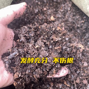 种花种菜通用蔬菜花卉腐叶营养土橡树叶发酵腐熟小颗粒腐殖土酸性