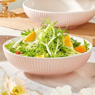 陶瓷浅碗大口碗2025新款高颜值家用大号拌面沙拉炸酱宽口吃面海碗