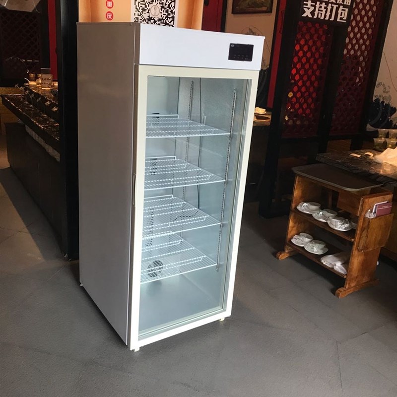 60度商用熟食恒温柜早餐粥饮料牛奶加热箱外卖便当盒饭保温柜大型