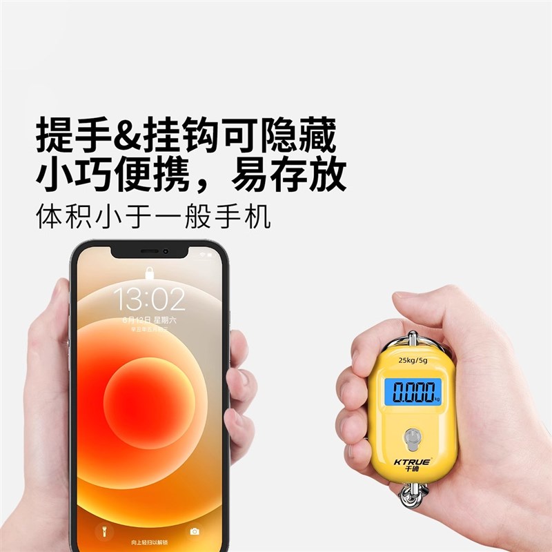 精准迷你手提电子秤高精度家用小型便携式吊秤弹簧秤钩称食物称克图片
