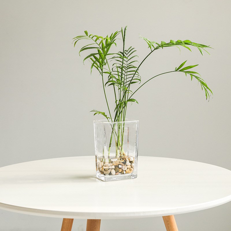 方形水晶鱼缸花盆多用方缸透明玻璃花瓶绿萝水培