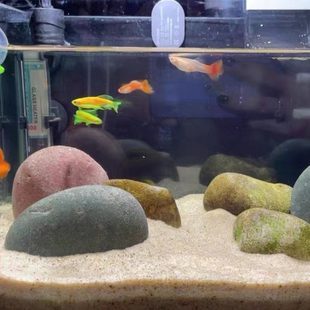 鹅卵石原石造景石头铺路园林庭院造景鱼缸鹅软石天然大号石头装饰