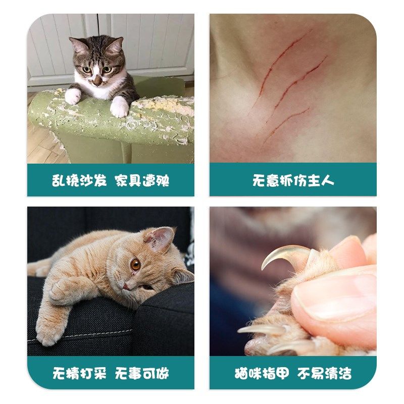 猫抓板耐磨不掉屑猫玩具一体宠物猫咪逗猫解闷专用款可悬挂不占地,宠物/宠物食品及用品,猫抓板,淘宝优惠券,粉丝福利购,淘宝优惠卷