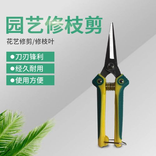 园艺剪刀耐用钢材修枝剪花卉绿植树木盆栽修枝剪刀花艺修枝修叶剪