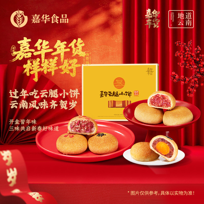 嘉华月饼云腿月饼迷你小饼礼盒