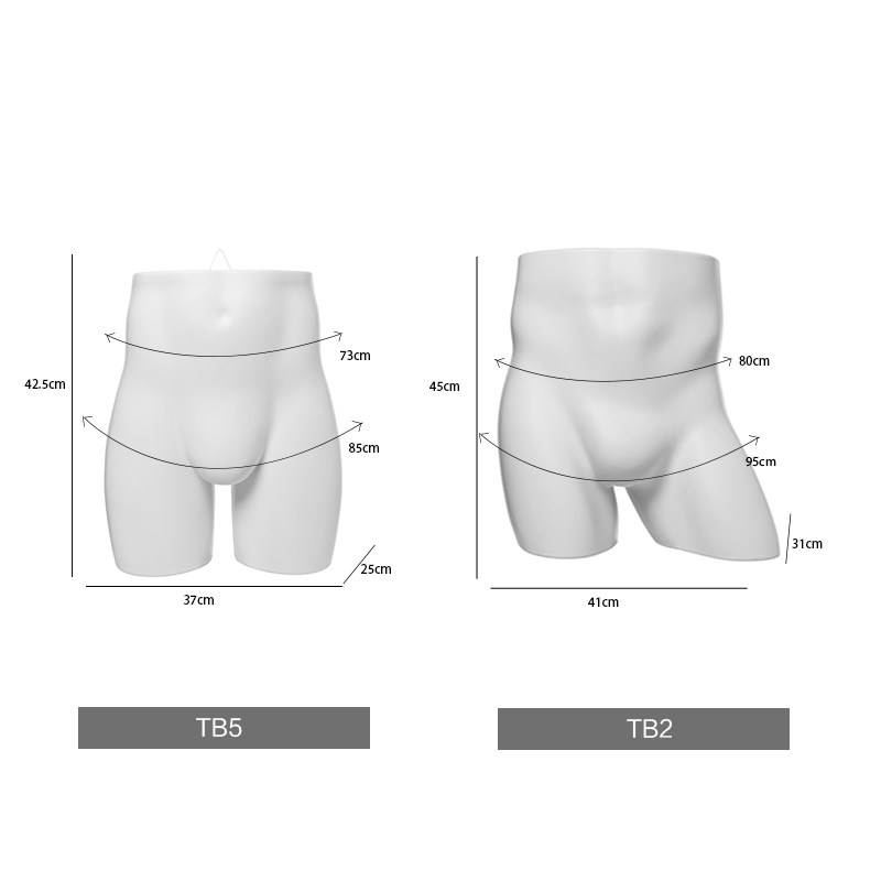 内衣店展示模特半身男内裤拍照道具臀模橱窗假人体模型半身男屁股