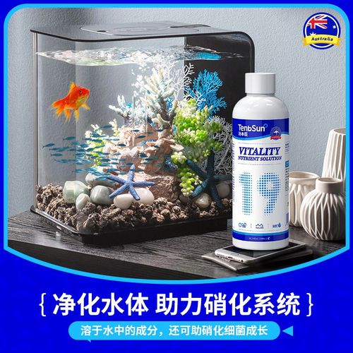 汤本臣鱼愈19号龙鱼活力营养液观赏鱼专用营养液水族鱼缸益生菌剂