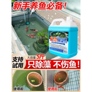 鱼池除藻去苔剂除绿水净化鱼缸去绿藻青苔清除剂水藻褐藻浮萍净%