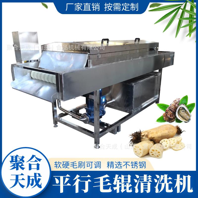 商用平行毛辊清洗机厂家果蔬清洗设备红薯土豆清洗去皮海蛎子去泥
