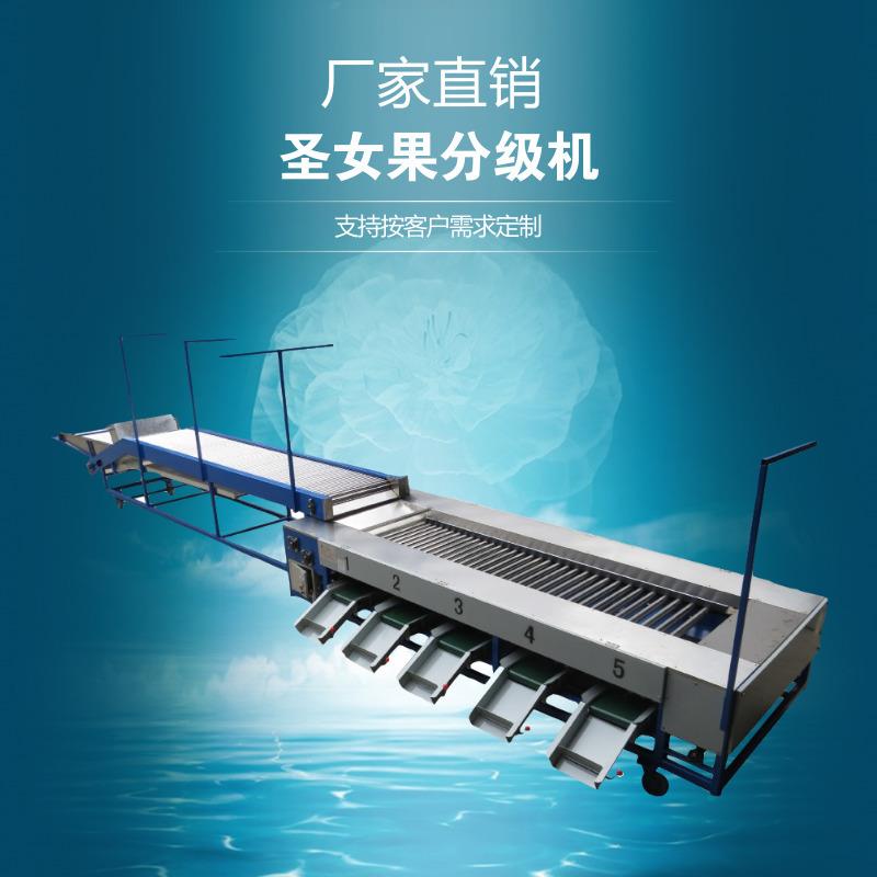 水果分选机圣女果分级机小蕃茄金桔杏子分级机
