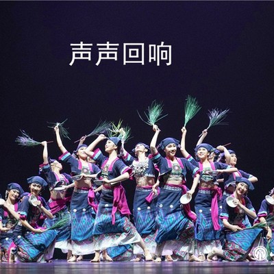 生生回响舞蹈服声声少数民族演出服女子群舞表演服彝族黎族苗族服