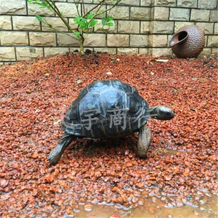 红土矿云南颗粒火烧红土兰花植料陆龟红土保湿垫材多肉花卉营养土