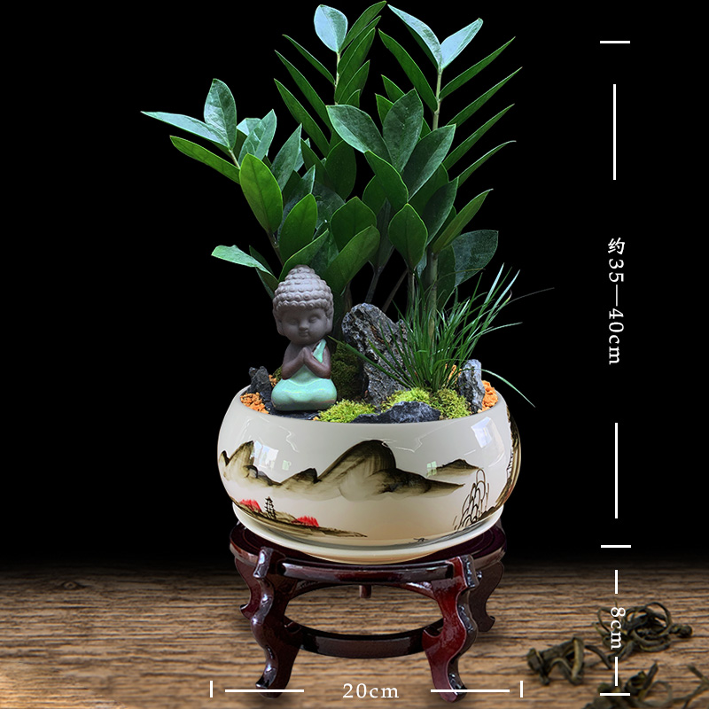 金钱树盆栽植物室内客厅摇钱树绿植办公桌花卉观叶四季常青招财树