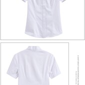 白衬衫 南航空姐长袖 空乘面试工作服女新款 v领短袖 衬衫 制服职业装