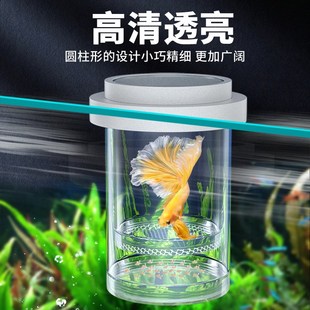 孔雀鱼繁殖盒鱼缸内热带鱼小型鱼幼鱼孵化鱼产房悬浮式漂浮隔离盒