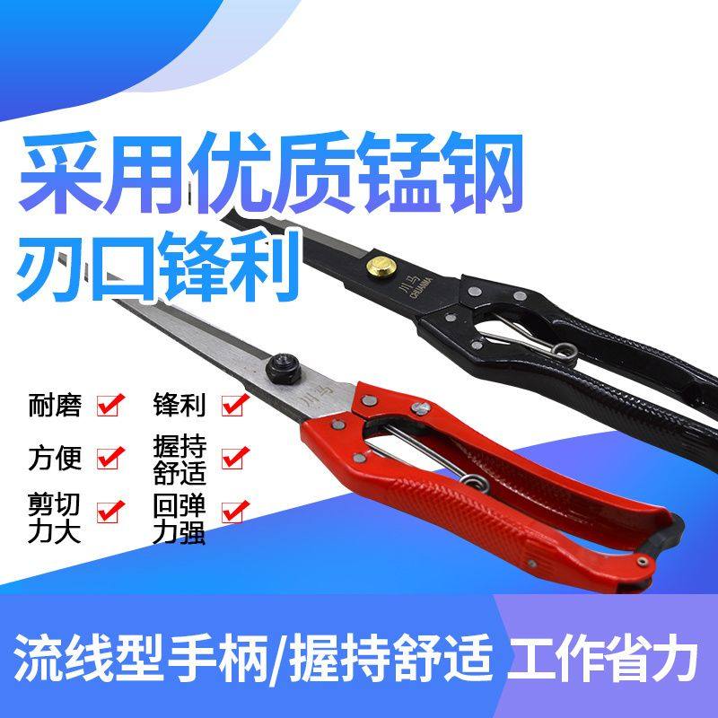 手动羊毛剪刀兔毛牛毛马鬃剪刀宠物剪毛家用皮革大剪刀剪羊毛神器图片