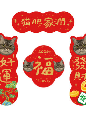 来图定制新年磁吸贴纸猫咪福字发财好运装饰贴春节喜庆用品
