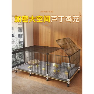 小鸡笼子芦丁鸡专用笼加密室内育雏养殖鸡笼鹌鹑笼小黄鸭家用大号