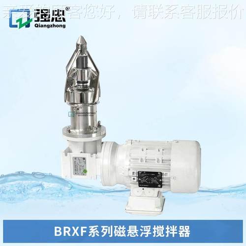 B合RXF系磁悬浮拌搅拌器食品药品饮料混列配液罐QLK底部安装磁力