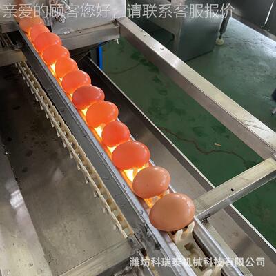 洗破蛋裂纹蛋型检检测机 光小蛋品清ZSQ去泥去粪机 快速洗蛋机
