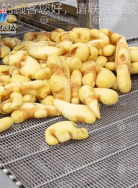 不钢锈网带风干设备 厂家应全自动连续果蔬机风供TS-PX35D干挑选