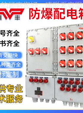 防爆配电子箱检线箱接动力仪表正压柜修按BXM钮控制开关端盒插座