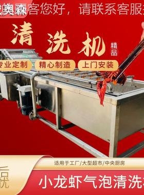 果蔬气机泡清机设备草FSQ莓樱桃洗水果清洗  芸豆黄瓜清洗设备