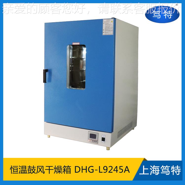 上海DDHG-L924H-L9245A立式恒燥温烘箱G不锈钢电热恒温鼓风干 箱