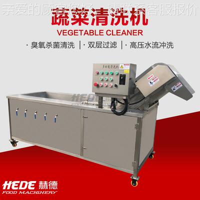 销型HD-2000售不锈杏钢臭洗菜机 小臭氧洗菜氧机 香菇鲍菇清洗机